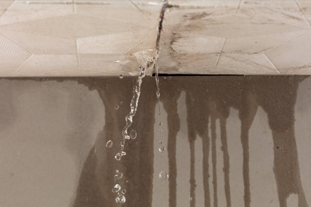 Professional Structural Drying technician working in Edgewood, KY